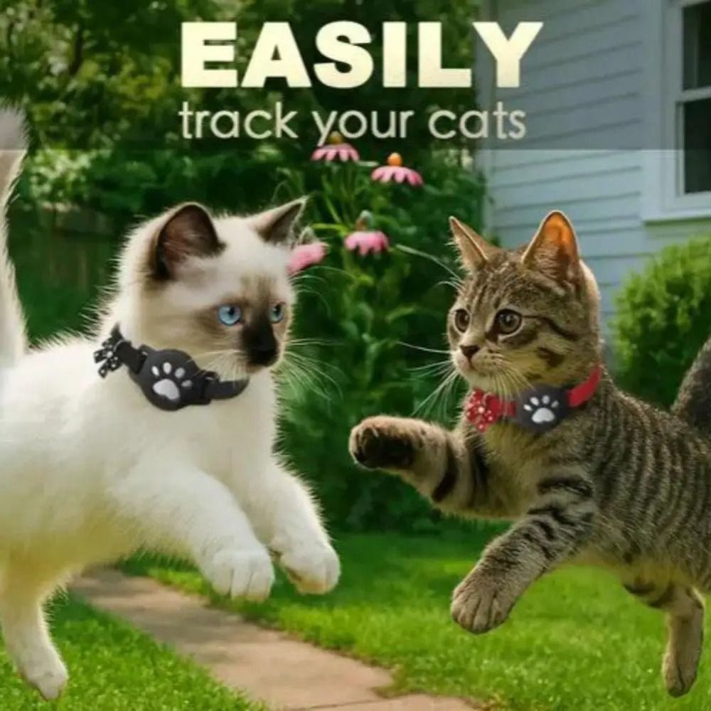 Pet Supplies Locations - NEW Night Visibility Pet Reflective Collar