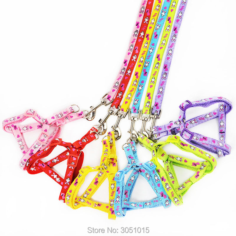 Pet Supplies Wholesale - Sỉ 20 Chiếc Mèo Con Chó
