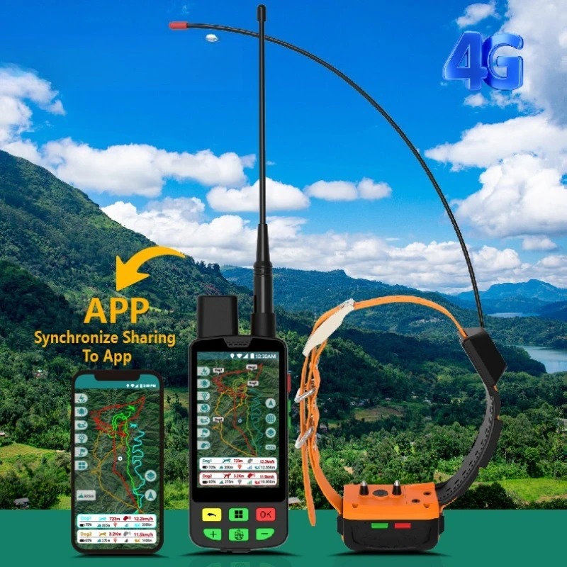 4G GPS Dog Collar with Radio T - đánh giá và giá Pet Supplies Locations