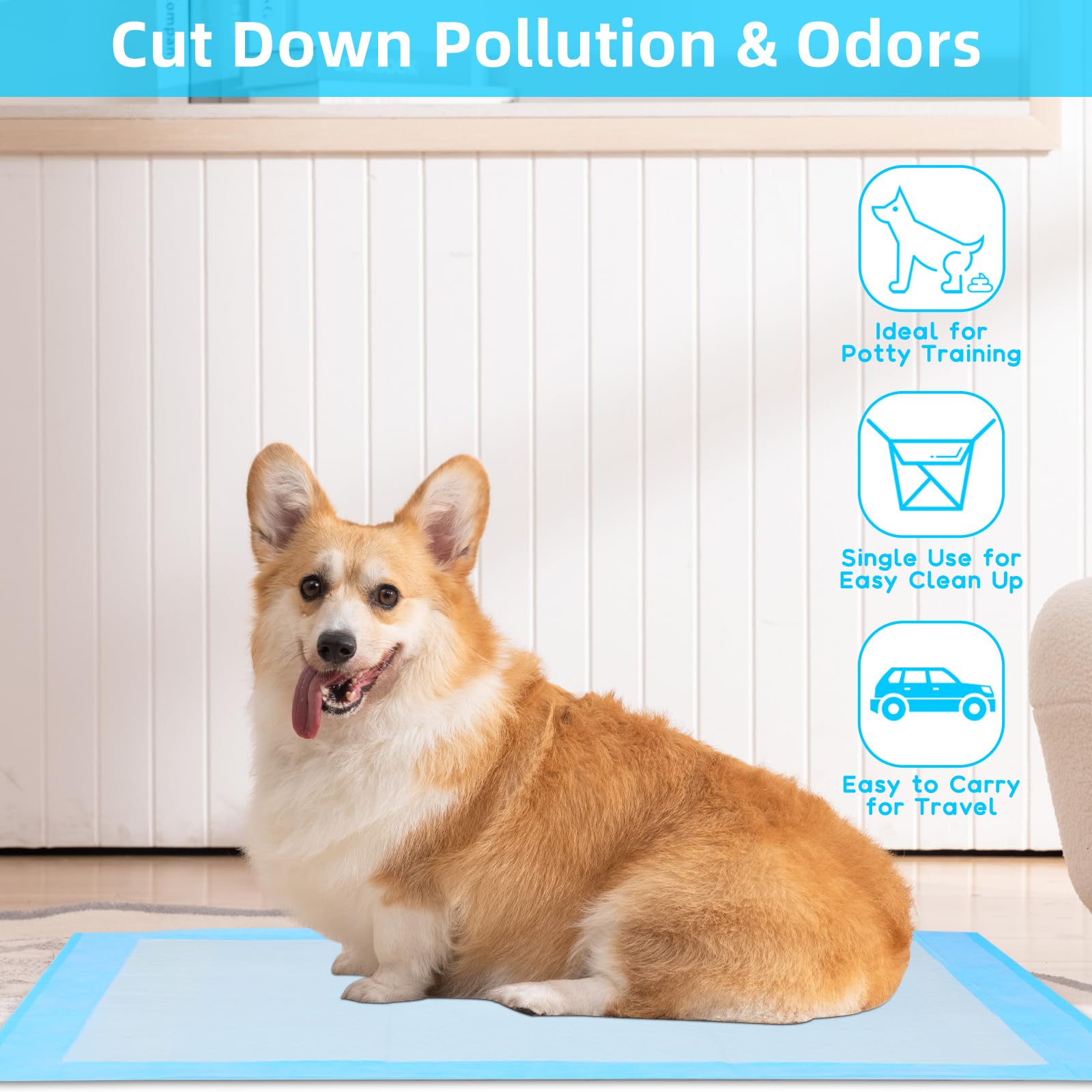 LeakProof Pee Pads for Dogs Qu - đánh giá và giá Pet Supplies Wholesale
