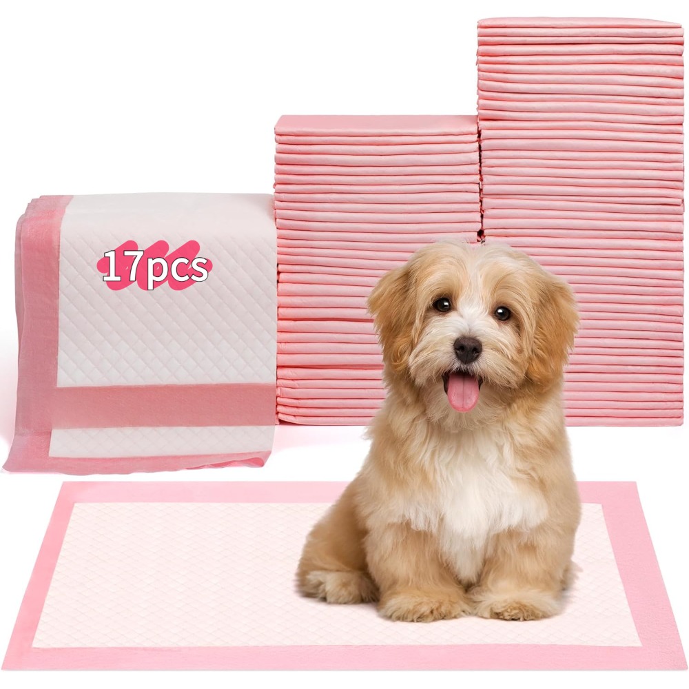 100/50/30/20/10Pcs Pet Toilet  - đánh giá và giá Pet Supplies Wholesale