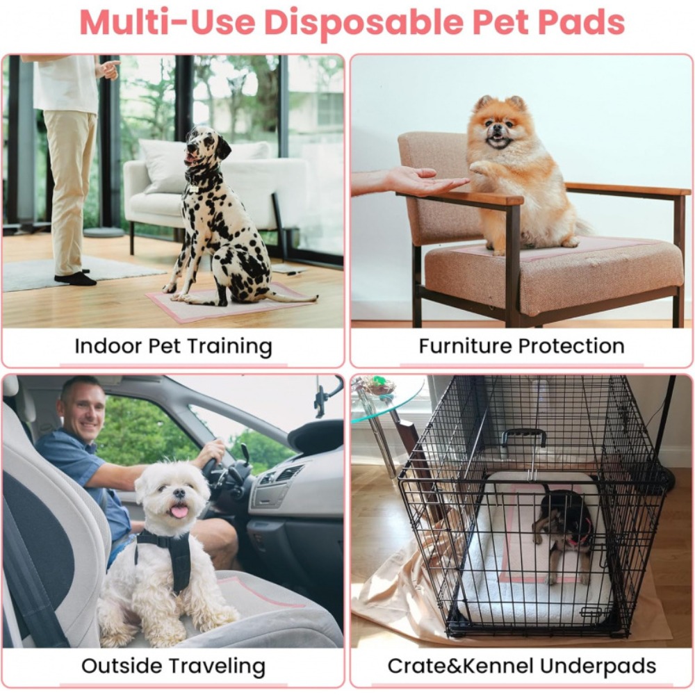 100/50/30/20/10Pcs Pet Toilet  - đánh giá và giá Pet Supplies Wholesale