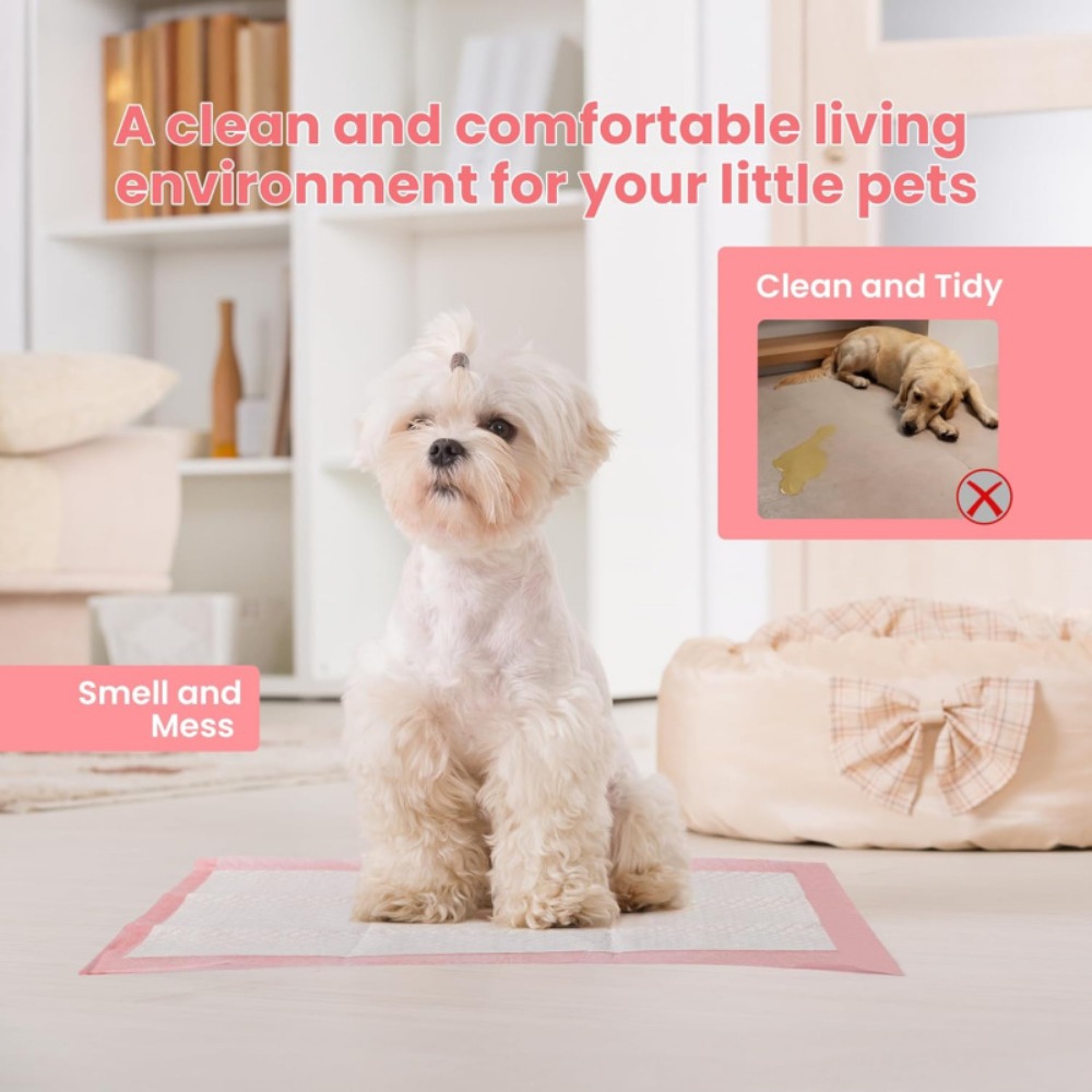 100/50/30/20/10Pcs Pet Toilet  - đánh giá và giá Pet Supplies Wholesale