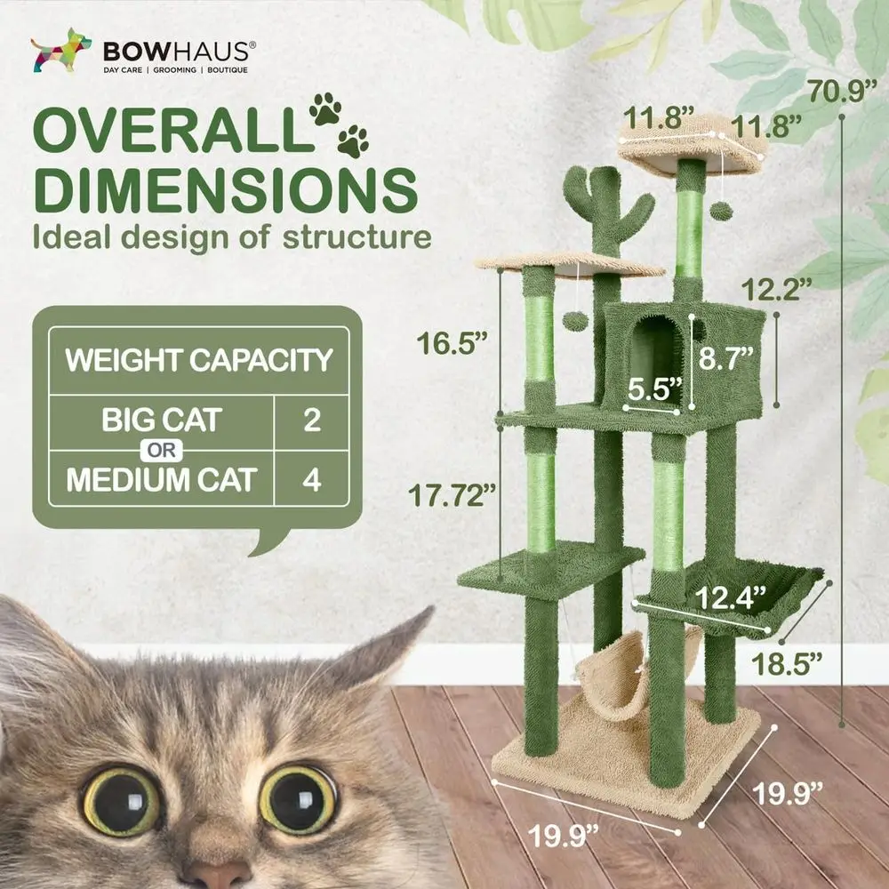 Multi-Level 70-Inch Cactus-The - đánh giá và giá Cat Scratching Post