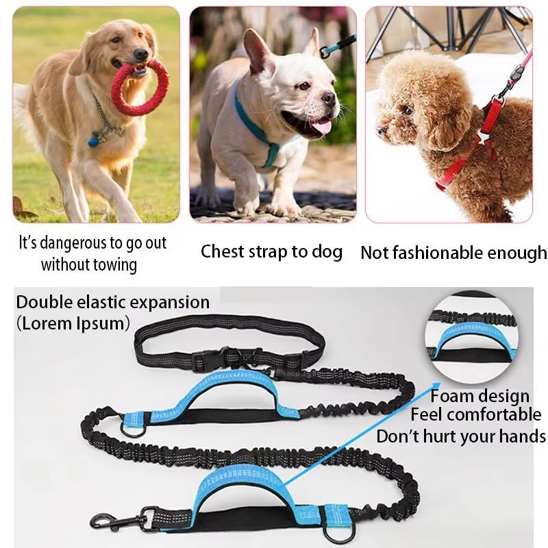 Double Elastic Reflective Runn - đánh giá và giá Pet Supplies Wholesale