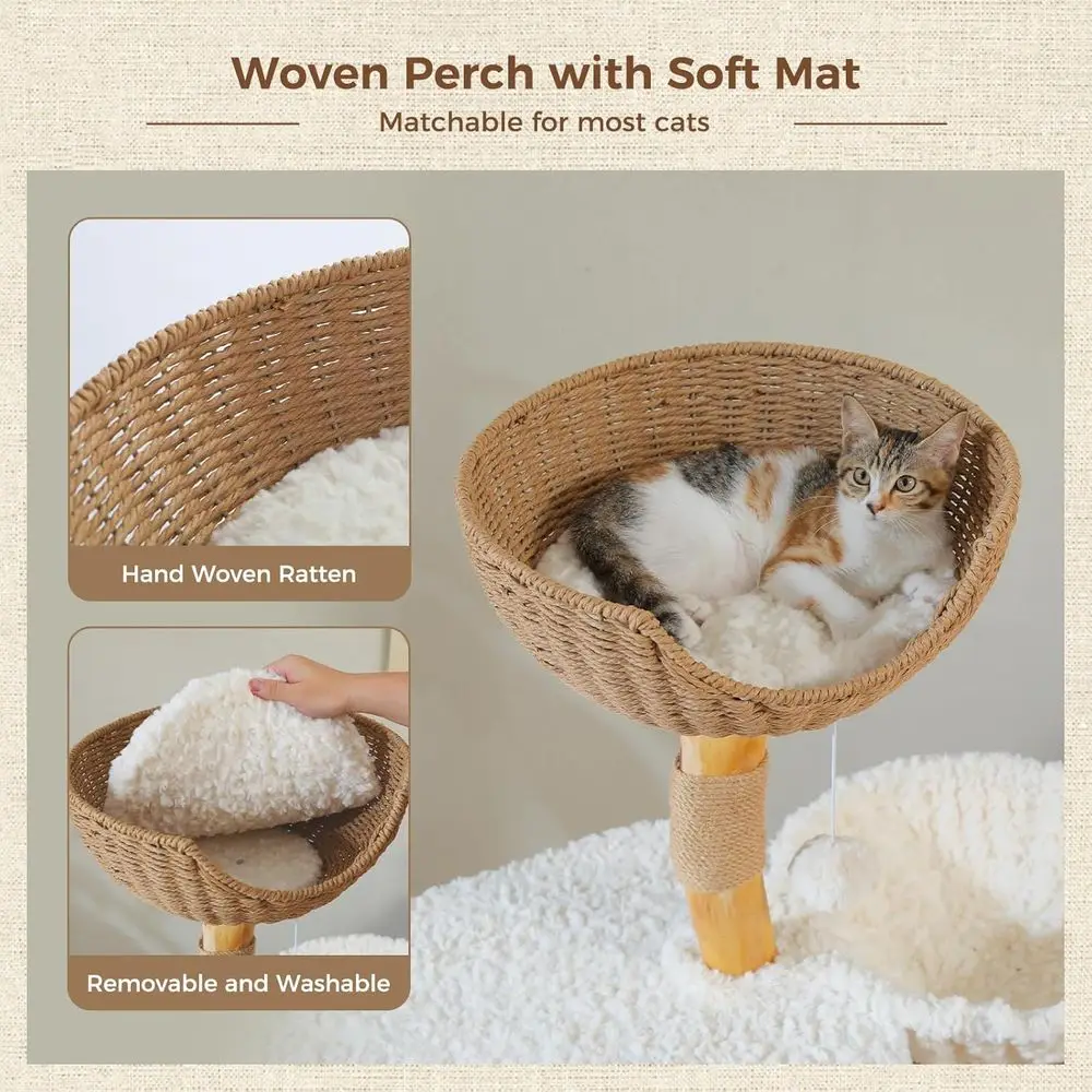 48.5 Large Solid Wood Cat Towe - đánh giá và giá Cat Scratching Post