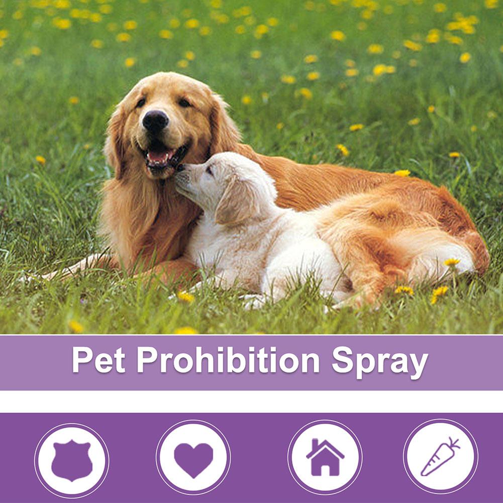 Pet Calming Spray Pet Supplies - đánh giá và giá Pet Supplies Nz