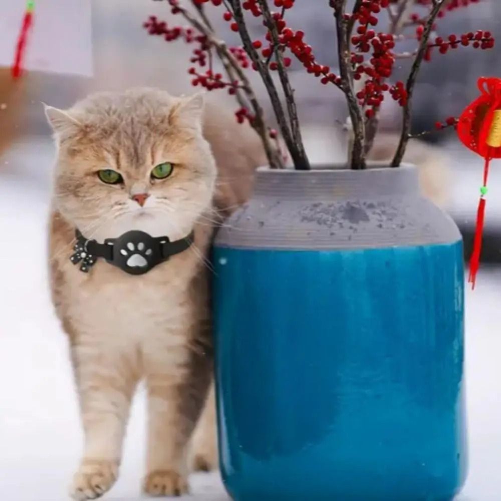 NEW Night Visibility Pet Refle - đánh giá và giá Pet Supplies Locations