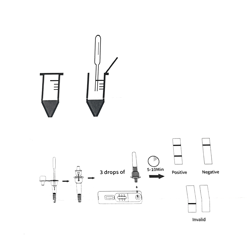 1set/5set Professional Pet Dog - đánh giá và giá Pet Supplies Nz
