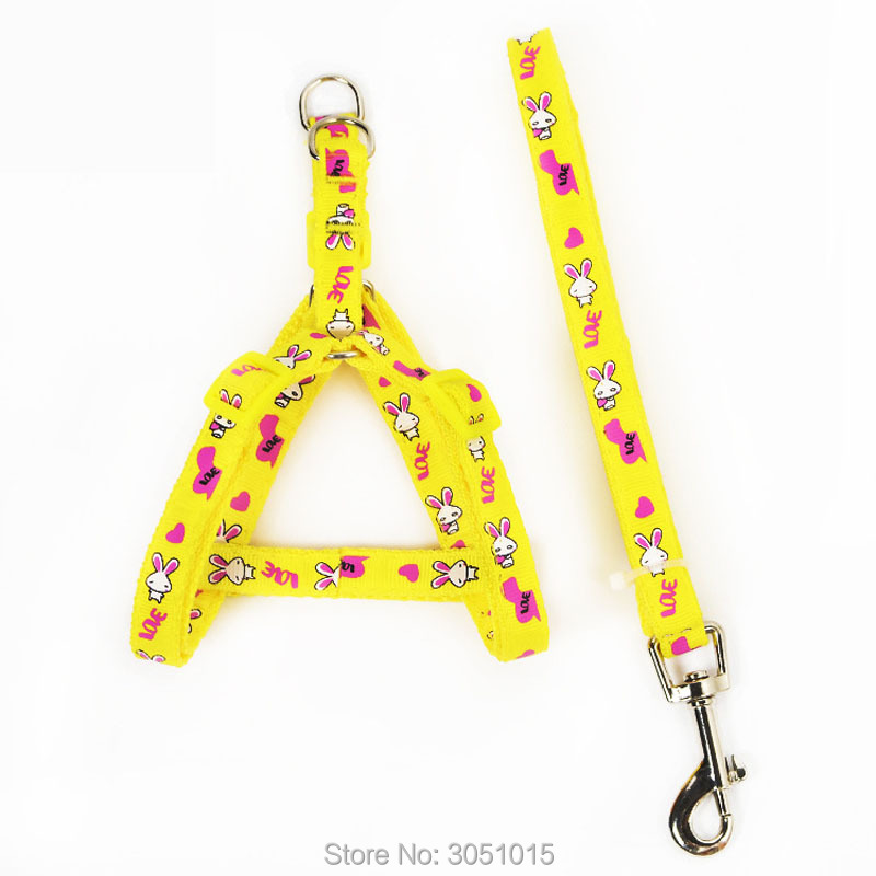 Sỉ 20 Chiếc Mèo Con Chó Con An - đánh giá và giá Pet Supplies Wholesale