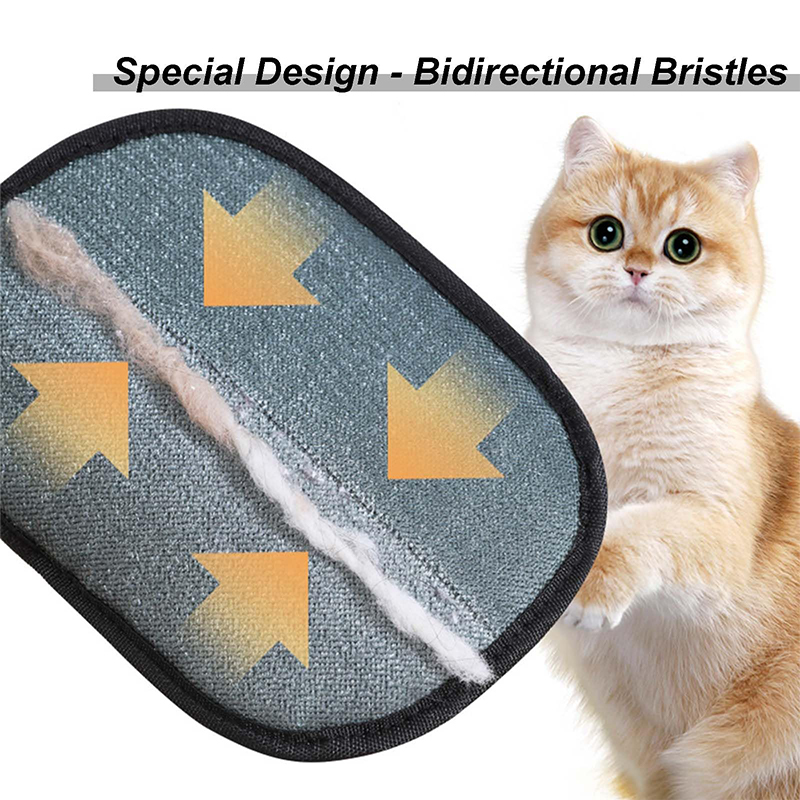 New Electrostatic Pet Grooming - đánh giá và giá Pet Supplies Nz