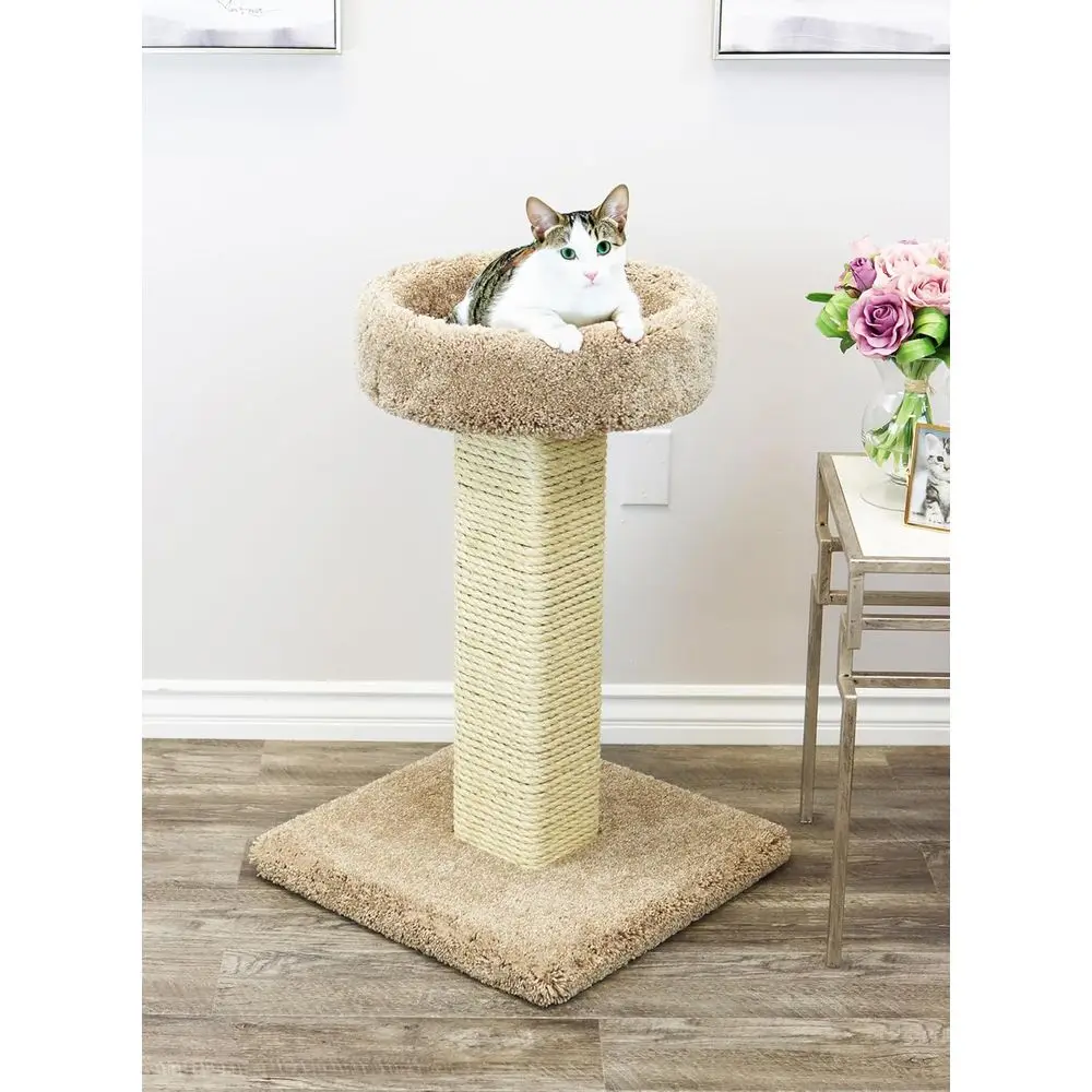 Large Solid Wood Cat Scratchin - đánh giá và giá Cat Scratching Post