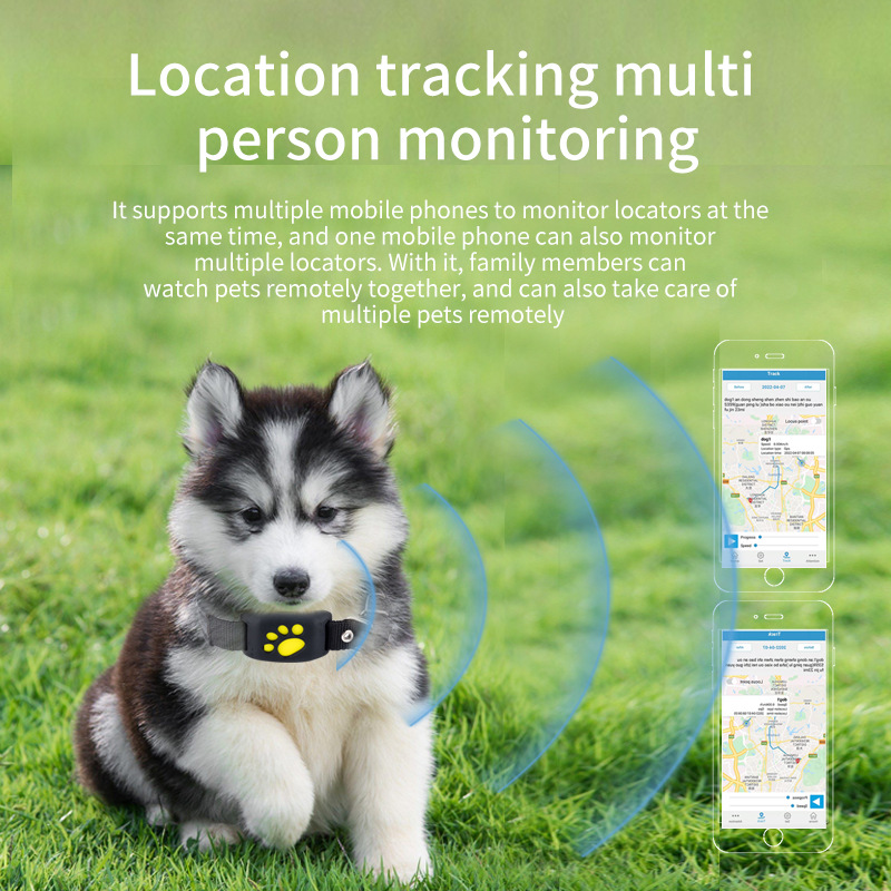 GPS Pet Tracker Beidou Positio - đánh giá và giá Pet Supplies Locations