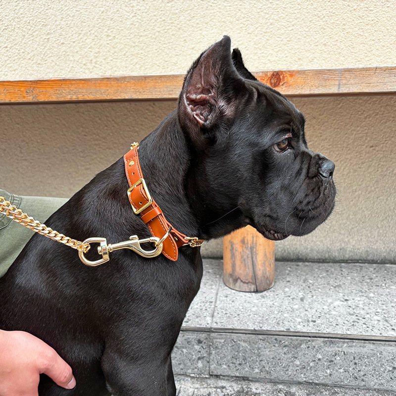 Loudik Wholesale Pet Collar Le - đánh giá và giá Pet Supplies Wholesale