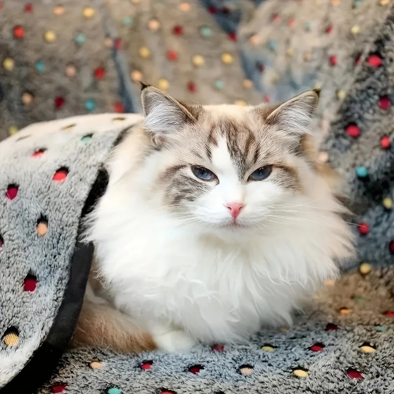 3PCS Soft Fluffy Pet Blanket C - đánh giá và giá Pet Supplies Nz
