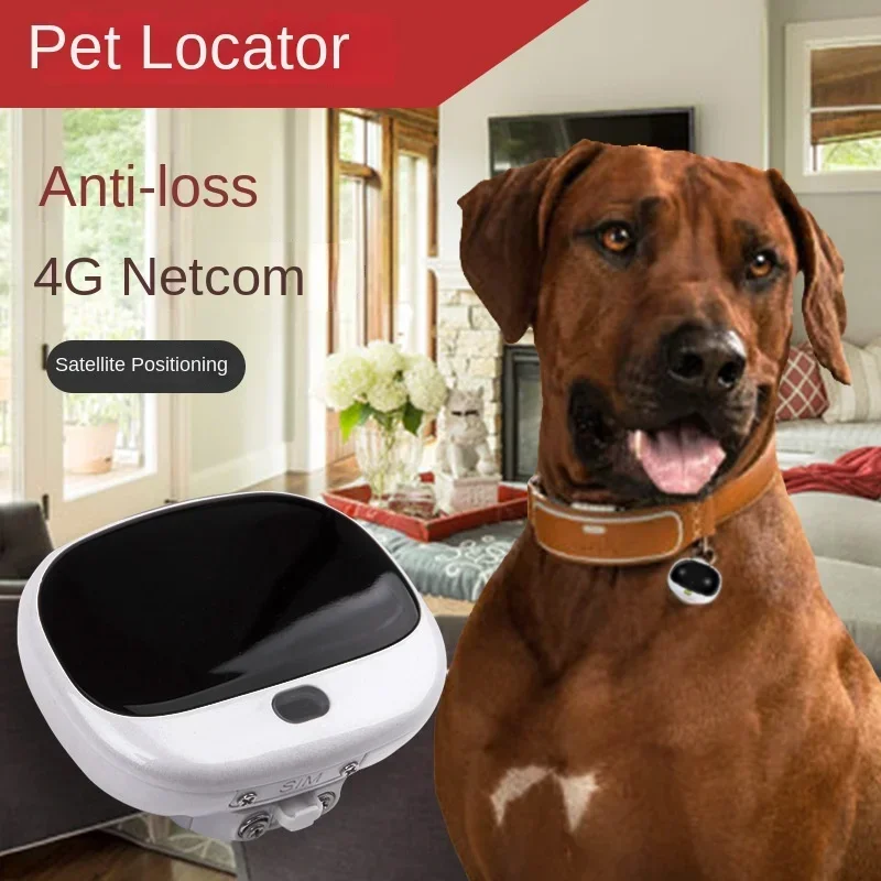 Mini 4G LTE 2G GSM Dog Gps Loc - đánh giá và giá Pet Supplies Locations