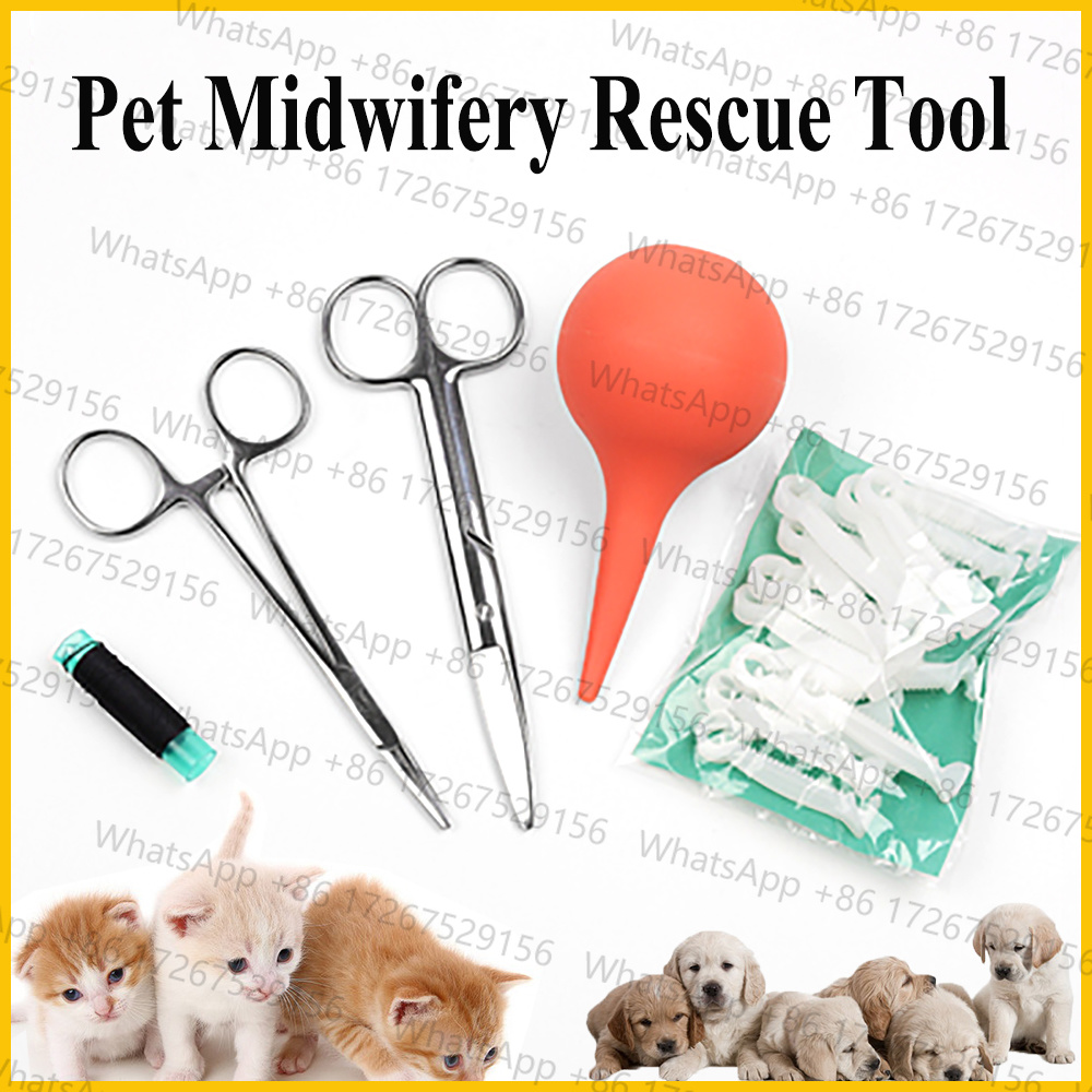 Applicable to1SET Pet Dog Cat  - đánh giá và giá Pet Supplies Application