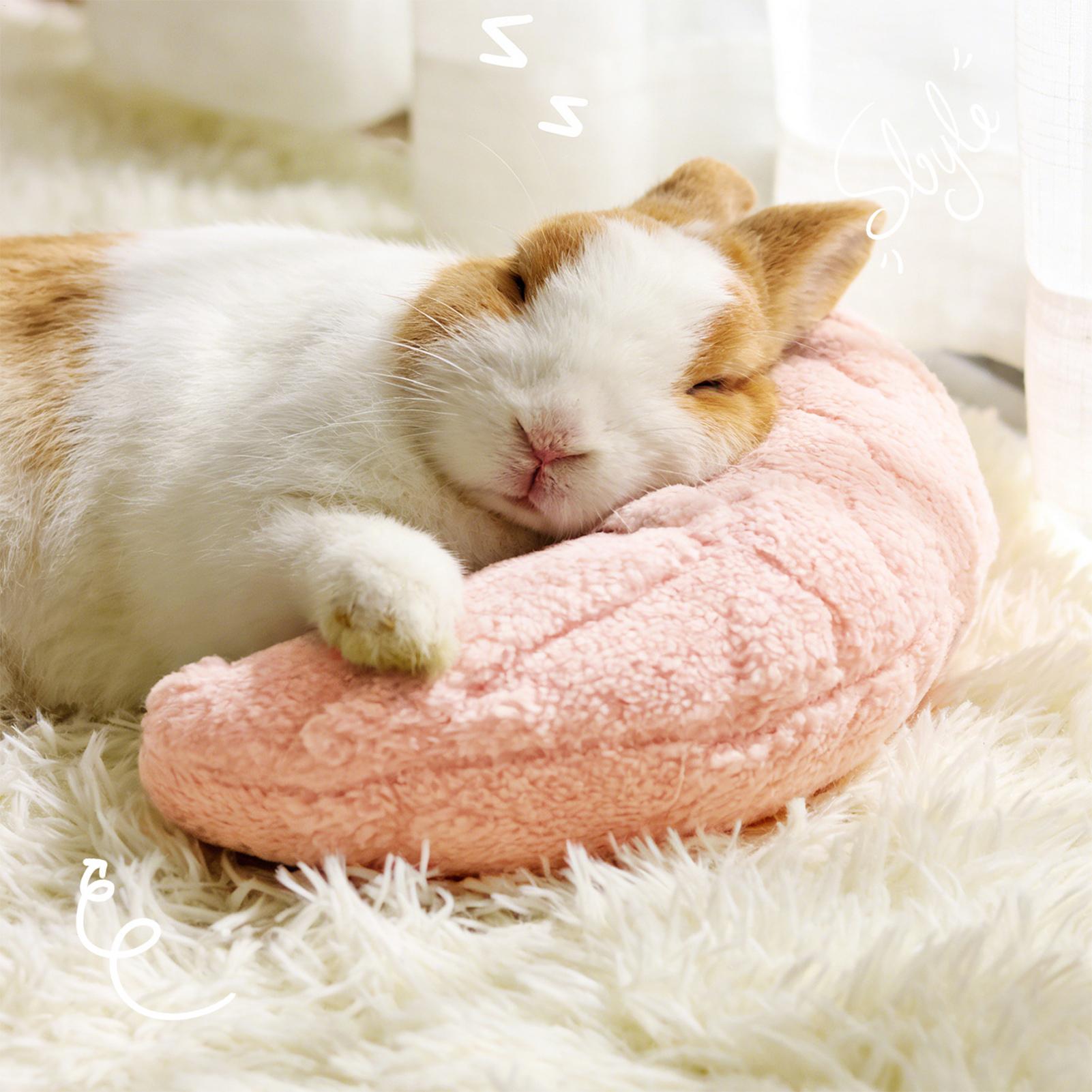 Pet Little Pillow Fashion Neck - đánh giá và giá Pet Supplies Nz